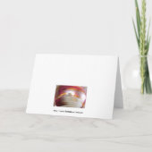 ディスコ玉挨拶カード4 カード (裏面)