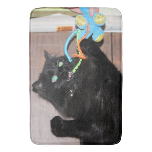 ディスコ バスマット (正面縦)