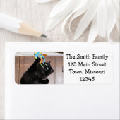 ディスコ ラベル (インサイチュ)