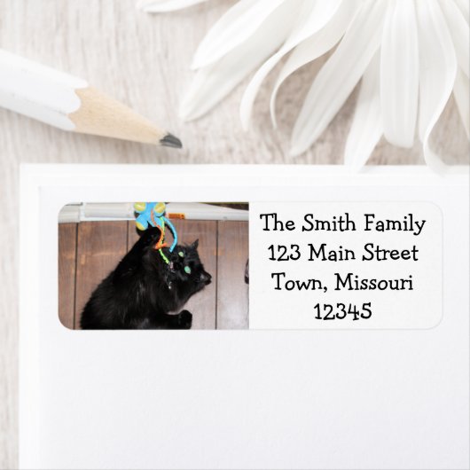 ディスコ ラベル (インサイチュ)