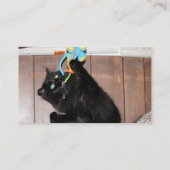 ディスコ 名刺 (裏面)