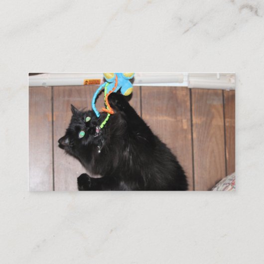 ディスコ 名刺 (裏面)