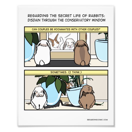 ディスダン フォトプリント            (正面)