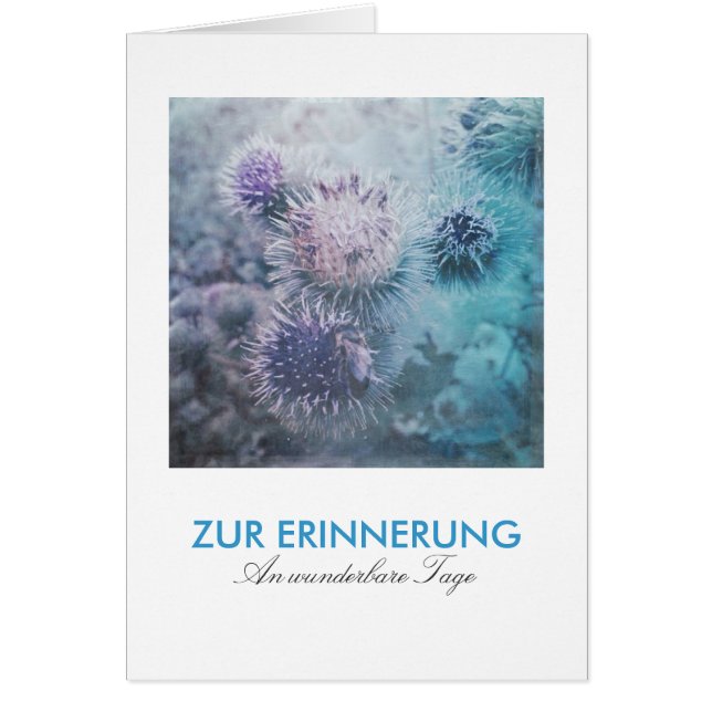 ディステルブリュテン (正面)