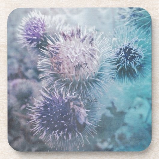 ディステルブリュテン コースター (正面)