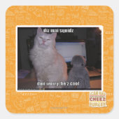 ディズマイスクィード スクエアシール (正面)