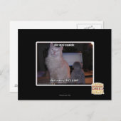 ディズマイスクィード ポストカード (正面/裏面)