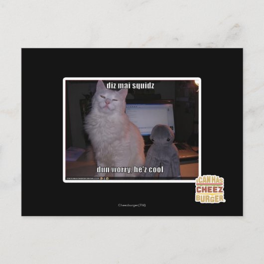 ディズマイスクィード ポストカード (正面)