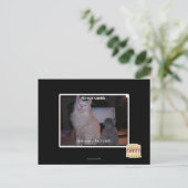 ディズマイスクィード ポストカード (スタンド正面)