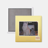 ディズマイスクィード マグネット (正面/裏面)