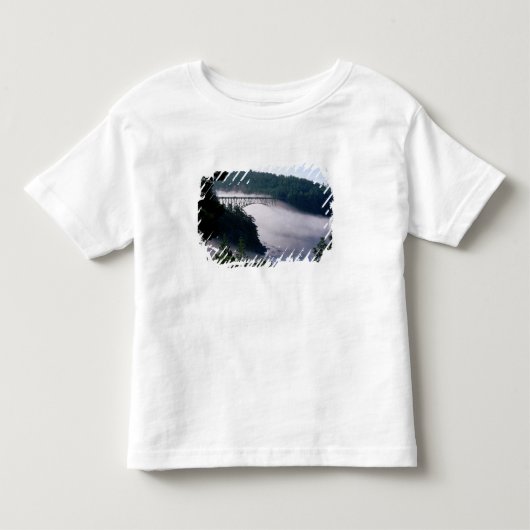 ディセプション・パス橋の下に霧が漂う、 トドラーTシャツ (正面)