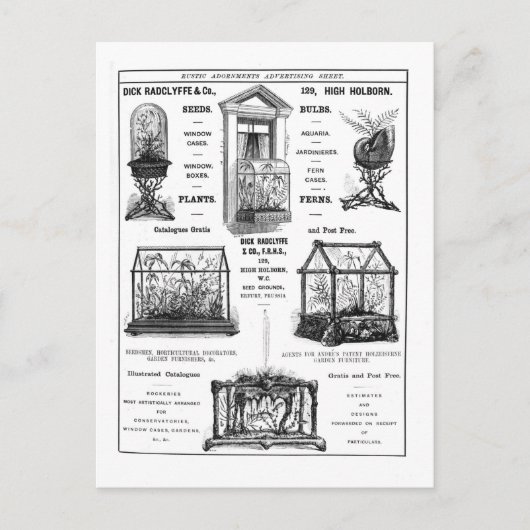 「ディック・ラドクリフ&コー」の広告 素朴な広告 ポストカード (正面)