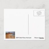 ディッチプレインズモントーク ポストカード (裏面)