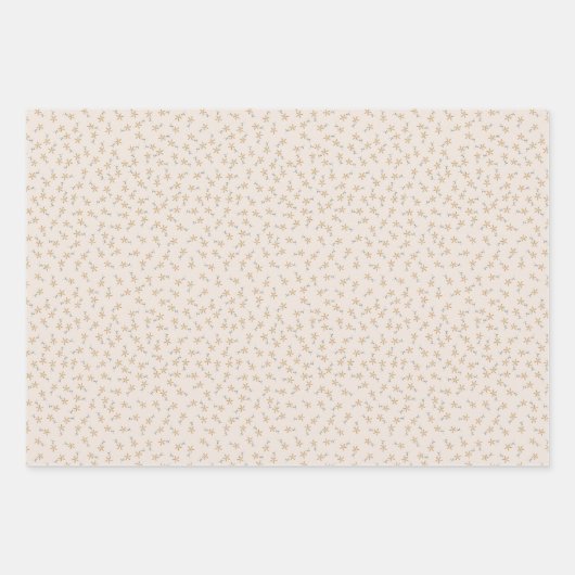 ディツィーフローラル - 白いセメントにアーストーンの素朴な色合い ラッピングペーパーシート (正面2)