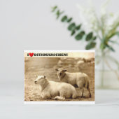 ディトマルシェンが大好き！ ポストカード (スタンド正面)