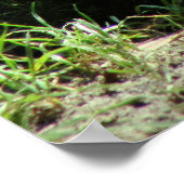 ディナソー ポスター (角)