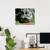 ディナソー ポスター (ホームオフィス)