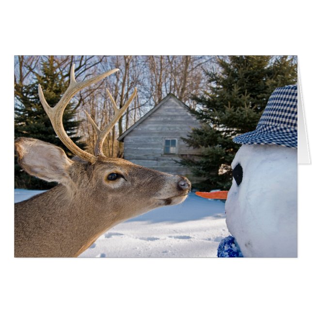 ディナータイム (正面横)