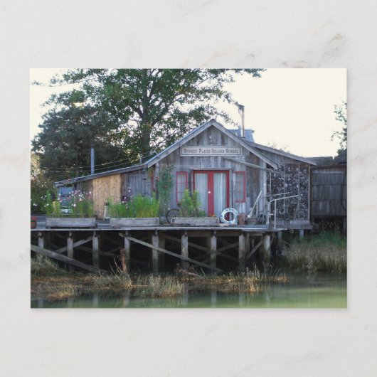 ディナープレートアイランドスクール ポストカード (正面)