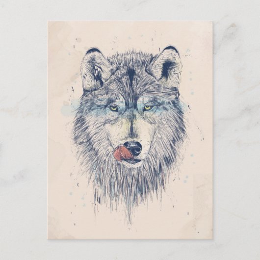 ディナー時間 ポストカード (正面)