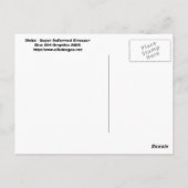 ディニト変形すごい恐竜!ポストカード ポストカード (裏面)