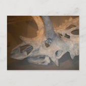 ディノさん#2 ポストカード (正面)