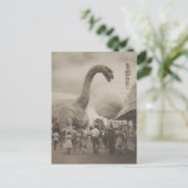 ディノアットザフェア ポストカード (スタンド正面)