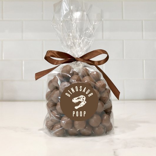 ディノディグ恐竜ウンチ発掘誕生日治療 ラウンドシール