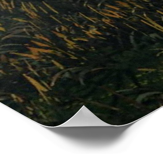 ディノ島 ポスター (角)