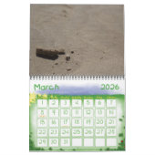 ディノ・カレンダー カレンダー (3月 2026)