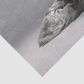 ディバイン・ドーターエンジェル 薄葉紙 (詳細)