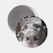 ディバ磁石 マグネット (正面/裏面)