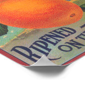 ディファイアランスオレンジラベルヴェネツィアコーブ(カリフォルニア州) ポスター (角)