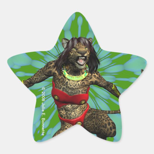 ディファイナンススターステッカー 星シール (正面)