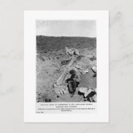 ディプロドクス恐竜の芸術はがき ポストカード