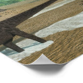 ディプロドクス恐竜群 – 3D 描写 ポスター (角)