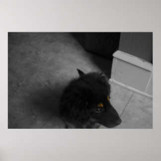 ディボB&W ポスター