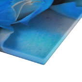 ディムジス カッティングボード (角)