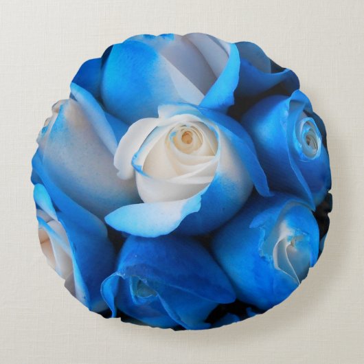 ディムジス ラウンドクッション (正面)