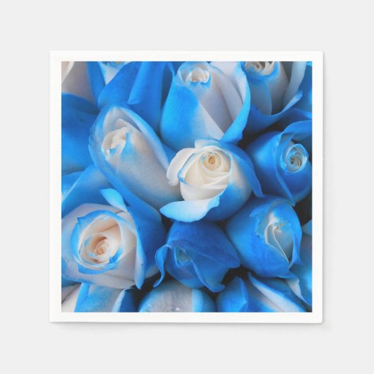 ディムディス スタンダードカクテルナプキン (正面)