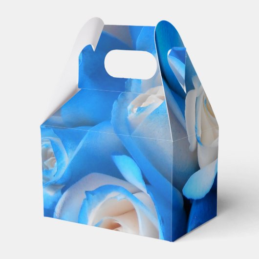 ディムディス フェイバーボックス (裏面サイド)