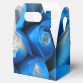 ディムディス フェイバーボックス (オープン)