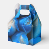 ディムディス フェイバーボックス (正面サイド)