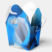 ディムディス フェイバーボックス (オープン)