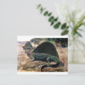 ディメトロドン-1 ポストカード (スタンド正面)