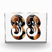 ディメンショナル・オレンジ・ブラック・バスケットボール番号33, フォトブロック (正面)