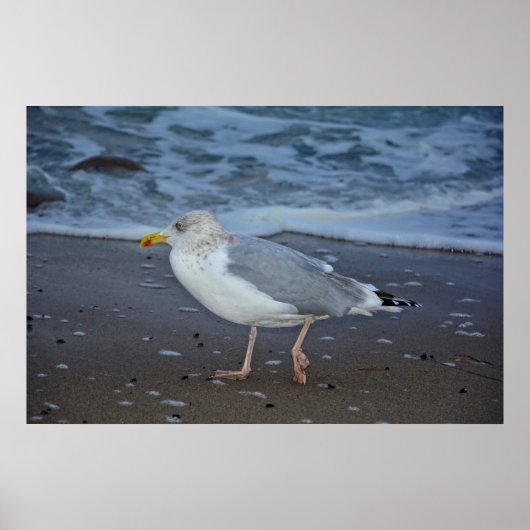 ディモーウェ ポスター (正面)