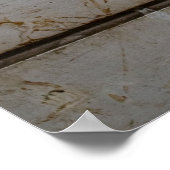 ディラランパルキールディシニ徴候 ポスター (角)