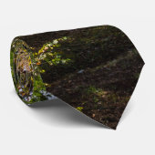 ディラードミルカントリーサイドネックタイ ネクタイ (ロール)