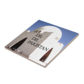 ディルディルパキスタンハクナマタタ タイル (側面)